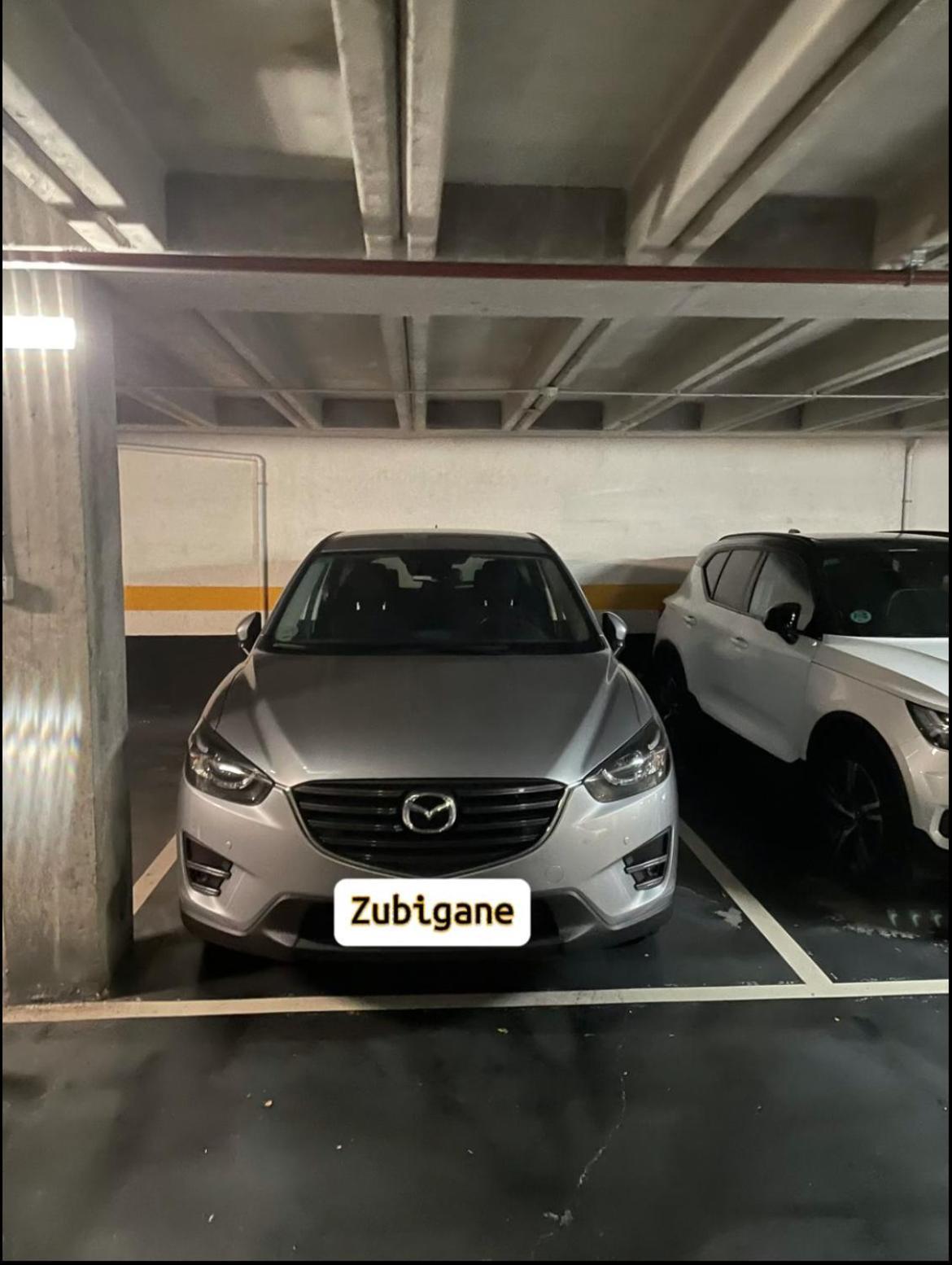 Zubigane Apartamento Junto A La Ria & Parking Bilbao Exterior foto